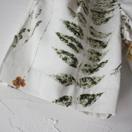 ASEEDONCLOUD アシードンクラウド plant memories print shokuonshitsu short trousers