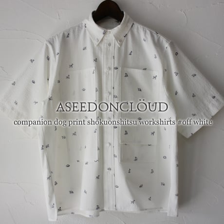 春分の日セール！アシードンクラウド ASEEDONCLOUD アシードンクラウド oykotoen print safari fl