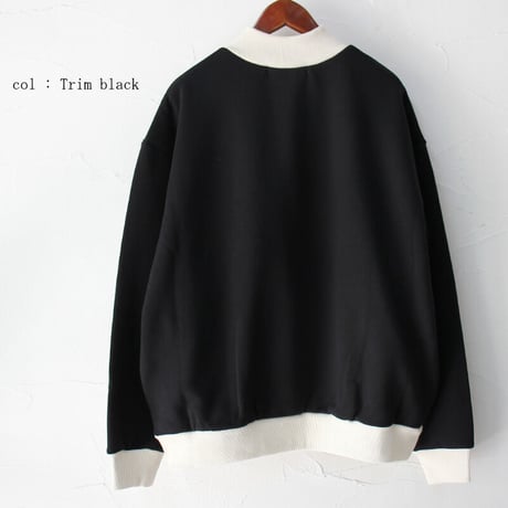 amne アンヌ　FRENCH TERRY oval v_mock フレンチテリーVモックプルオーバー　【送料無料】
