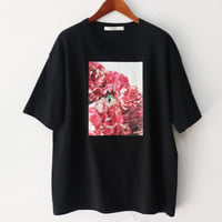 amne アンヌ　H_s tee " Ours "柄半袖Tシャツ　#ブラック