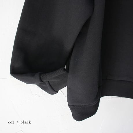 amne アンヌ　FRENCH TERRY oval v_mock フレンチテリーVモックプルオーバー　【送料無料】