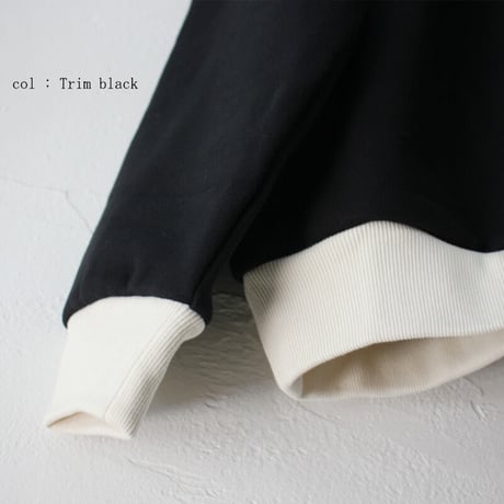 amne アンヌ　FRENCH TERRY oval v_mock フレンチテリーVモックプルオーバー　【送料無料】