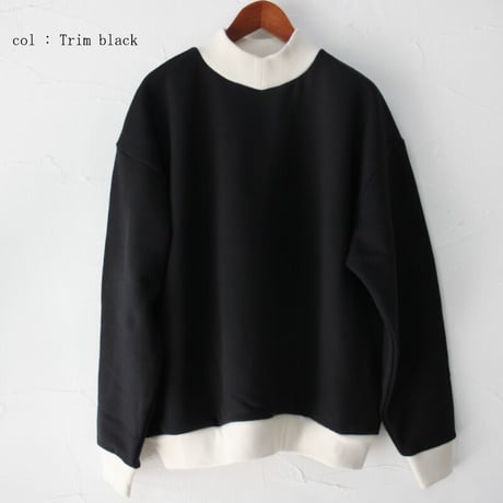 amne アンヌ　FRENCH TERRY oval v_mock フレンチテリーVモックプルオーバー　【送料無料】