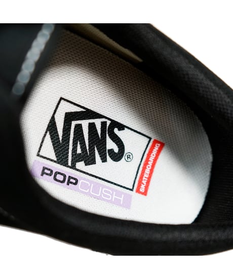VANS SKATE ERA / BLACK & WHITE