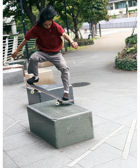 VANS SKATE LOAFER 2025 FW / BROWN & BLACK