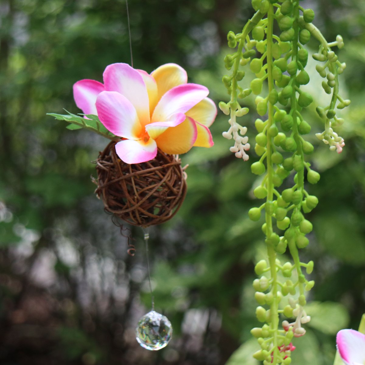 南国の鳥と花のサンキャッチャー | etoile-irisee