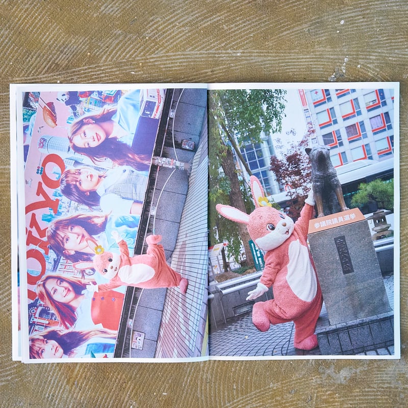 限定50部】YouTube写真集 #28 「20250717 - いちごちゃん」｜PDF +