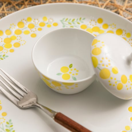 西山　雪　ミモザ　中鉢 CATEGORY mimosa（ミモザ） | NISHIYAMA