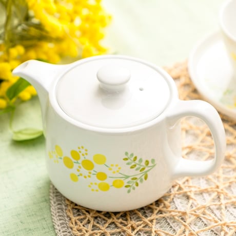 西山　雪　ミモザ　中鉢 CATEGORY mimosa（ミモザ） | NISHIYAMA