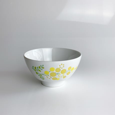 西山　雪　ミモザ　中鉢 CATEGORY mimosa（ミモザ） | NISHIYAMA