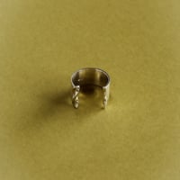 RMSP-ring1