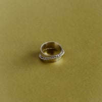 RMSP-ring7