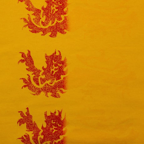 Three Lions Hoodie Gold, White