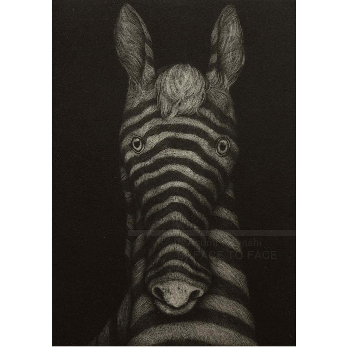 林 明日美作品 「夜のしまうま」 | FACE TO FACE WEB GALLERY