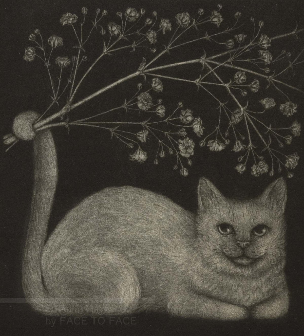 瞳の綺麗な猫姫のお花摘み 林 明日美作品 花摘みねこ・かすみ草 | FACE TO FACE WEB GALLERY