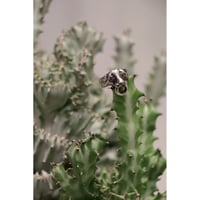 L I V runding : PANTHER RING
