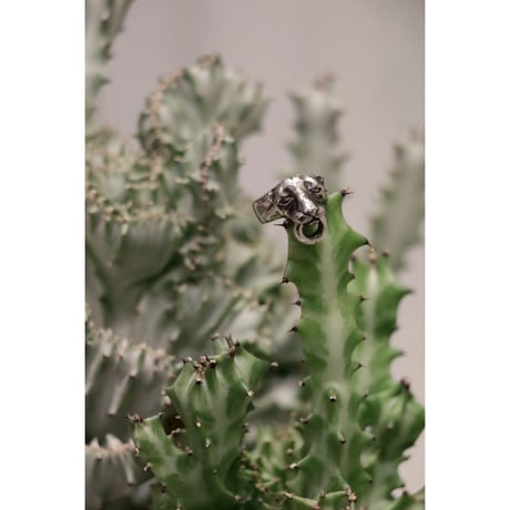 L I V runding : PANTHER RING