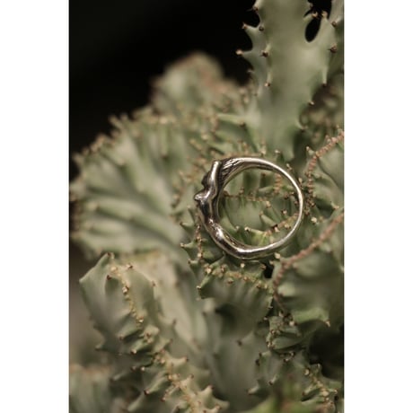 L I V runding : NUDE RING