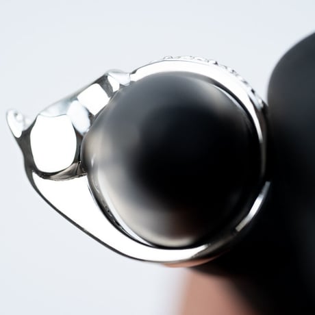 WAKAN SILVER SMITH :  R-081 Horse ring (mebiusu pattern)