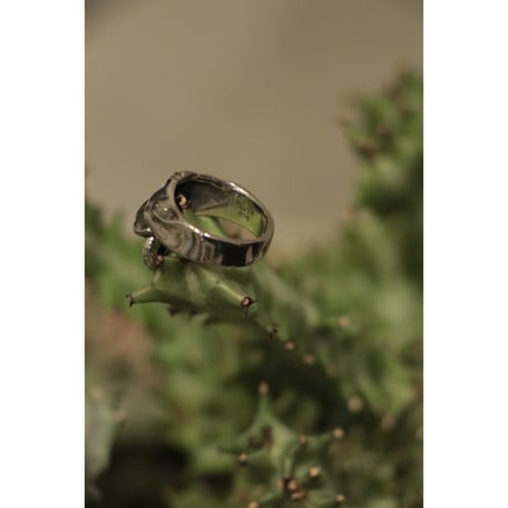 L I V runding : PANTHER RING