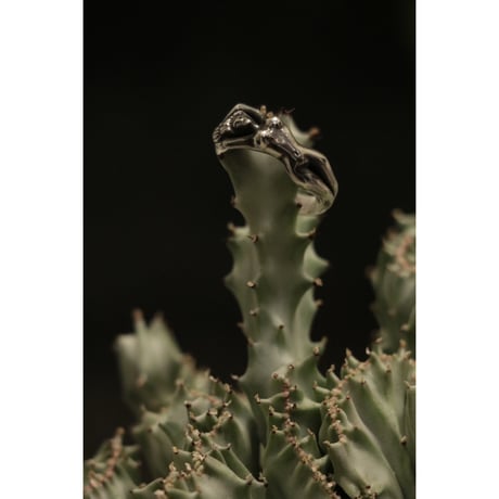 L I V runding : NUDE RING