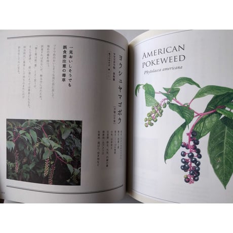 『道草の名前』・『毒生物の名前』