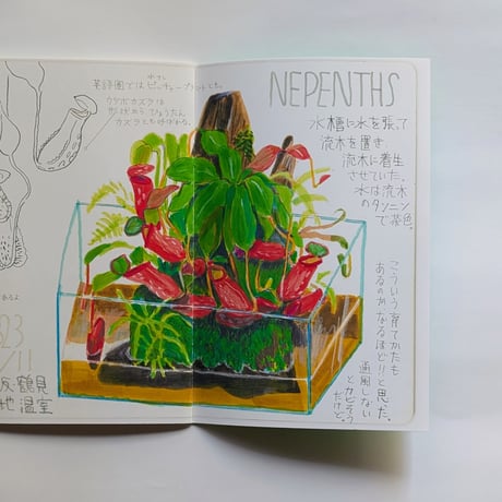 『BOTANIC 』（TAKEUMA/タケウマ）