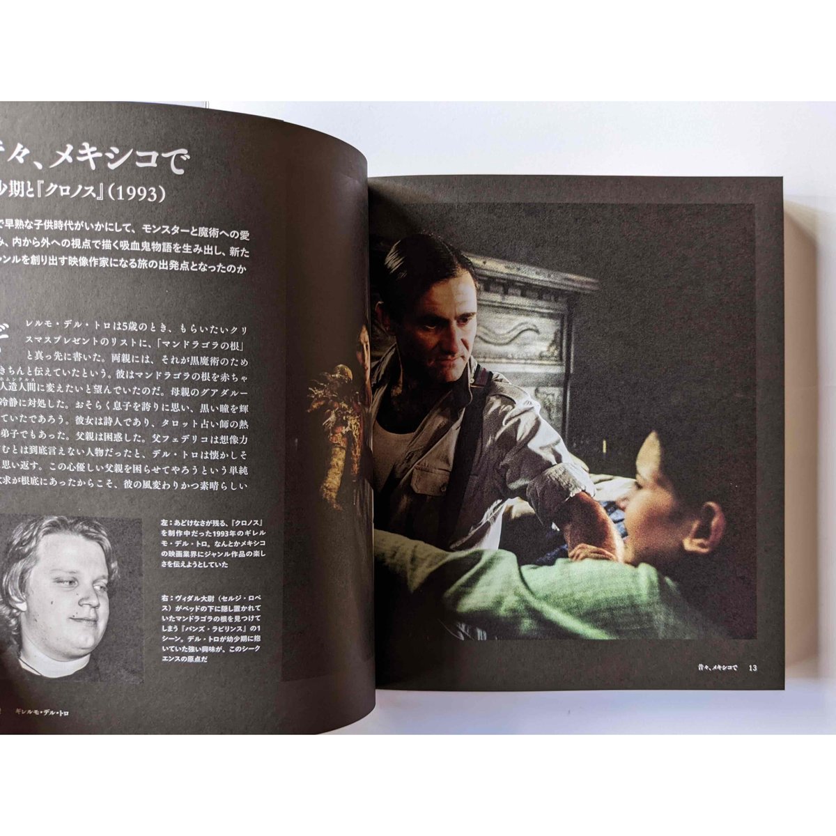 ギレルモ デル トロ 「パンズ ラビリンス」他、映画本3冊セット ギレルモ デル トロ 「パンズ ラビリンス」他、映画本3冊セット