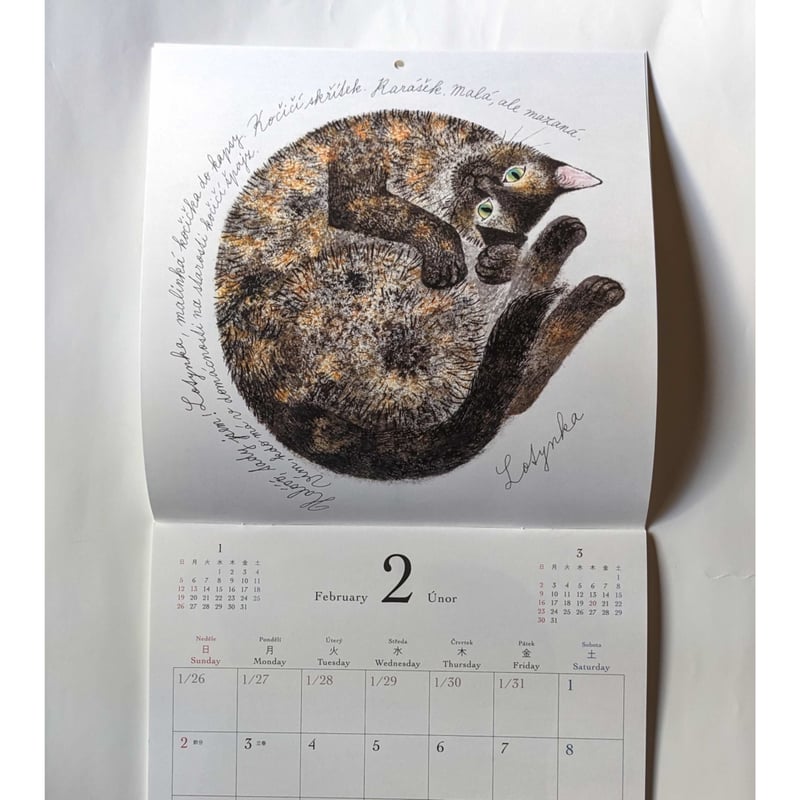 出久根育カレンダー2025「チェコの猫の12ヶ月」 | nowaki