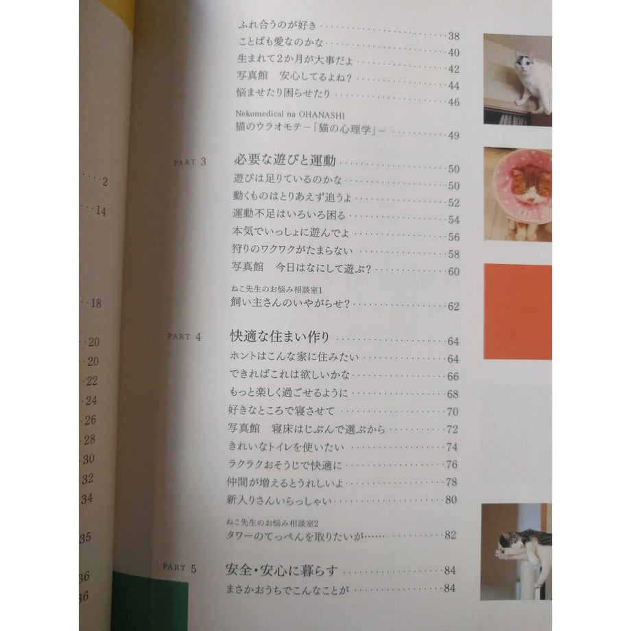 5d483a4408382954f04c39e9