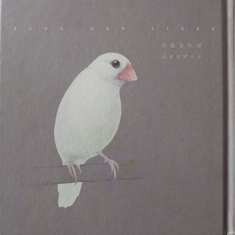 CATEGORY 鳥（bird） | nowaki