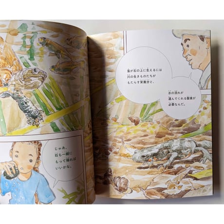 たくさんのふしぎ『ホタルの光をつなぐもの』（福岡伸一文・五十嵐大介絵）
