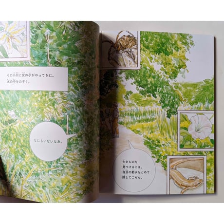 たくさんのふしぎ『ホタルの光をつなぐもの』（福岡伸一文・五十嵐大介絵）