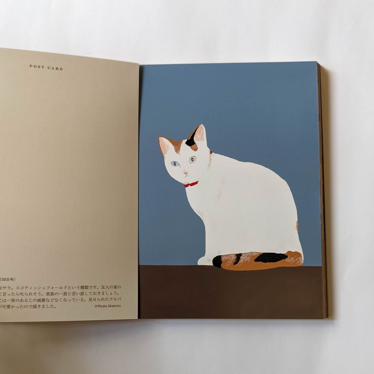 和田誠：ポストカードブック『猫』 | nowaki