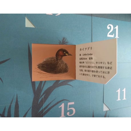 ユカワアツコ ：アドベントカレンダー 「水辺」
