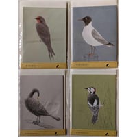 原マスミポストカードセット6種 | nowaki