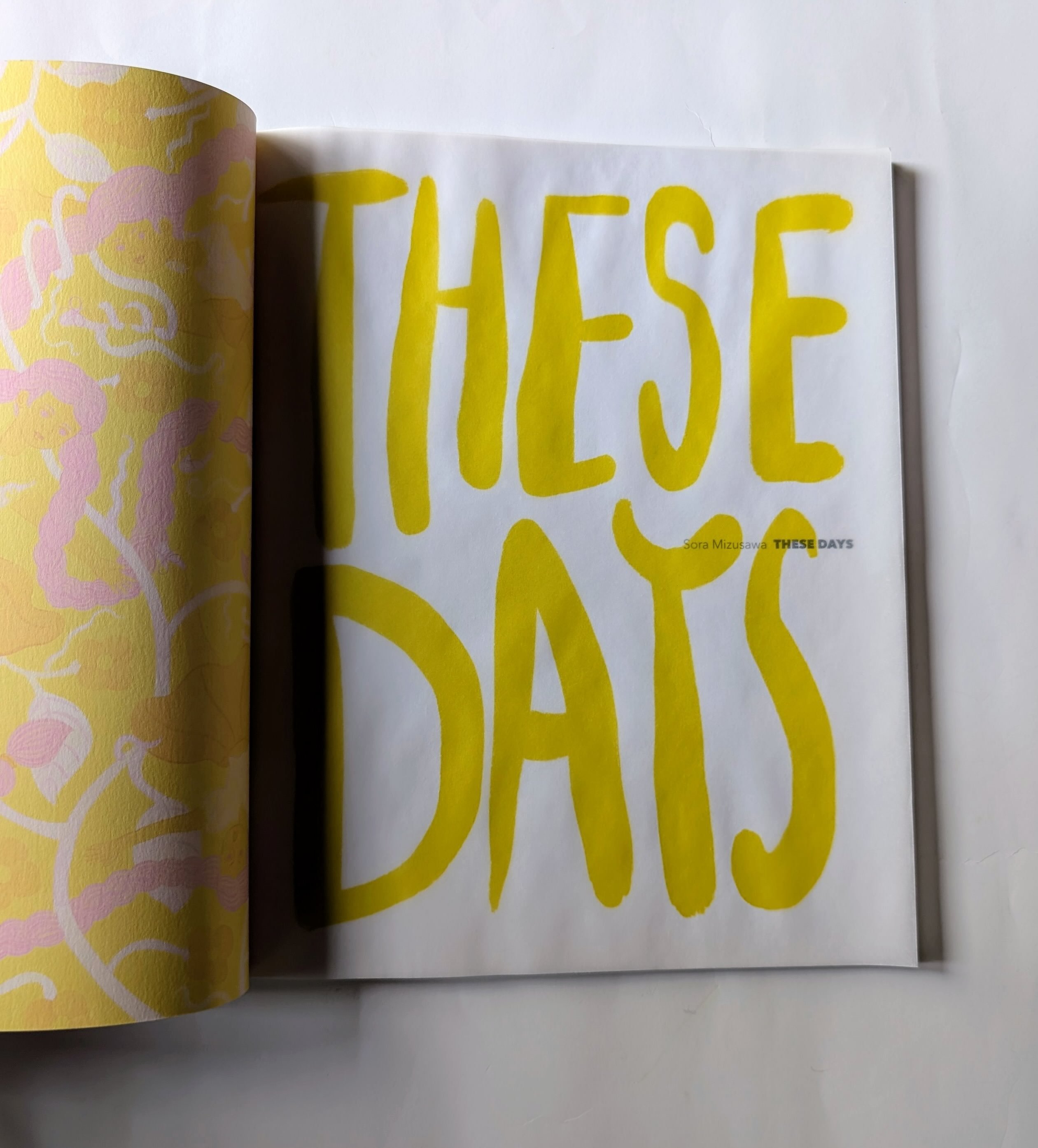 水沢そら作品集『These Days』＊サイン入り | nowaki