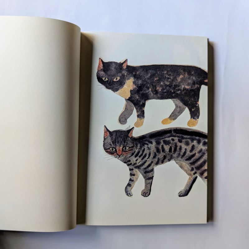 出久根育画集『SABINKA A MAKULKA』 | nowaki