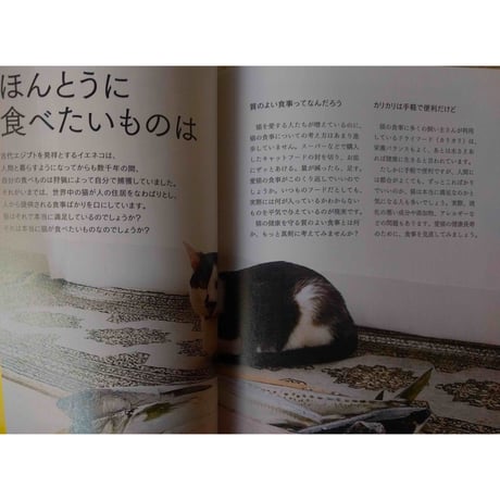 『猫のための家庭の医学』