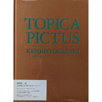 『TOPICA PICTUS』（岡﨑乾二郎）
