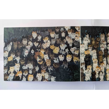 町田尚子画集 『隙あらば猫』