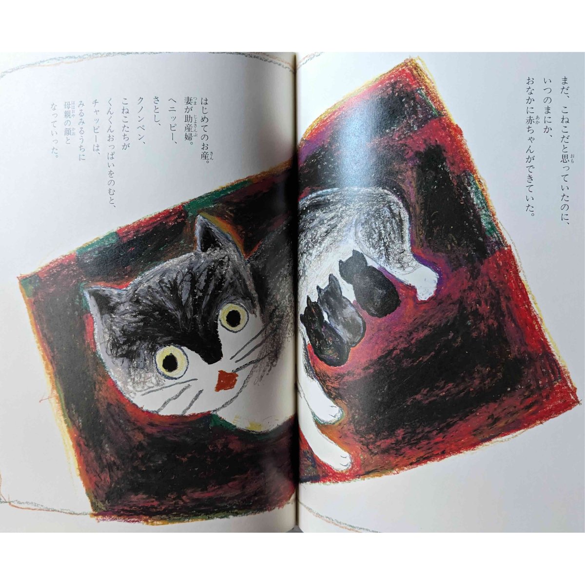ねこのチャッピー』（ささめやゆき） | nowaki