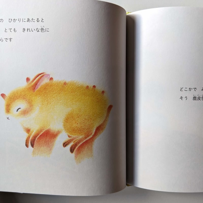 新装版『うさぎのルーピースー』（どいかや｝ ＊サイン入り | nowaki