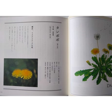 『道草の名前』・『毒生物の名前』