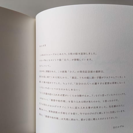 出口かずみ画集『小八』kohachi （新装版）