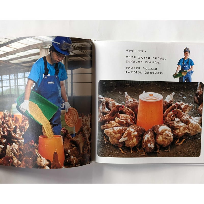 たいせつなたまご』（キッチンミノル） ＊サイン入り | nowaki