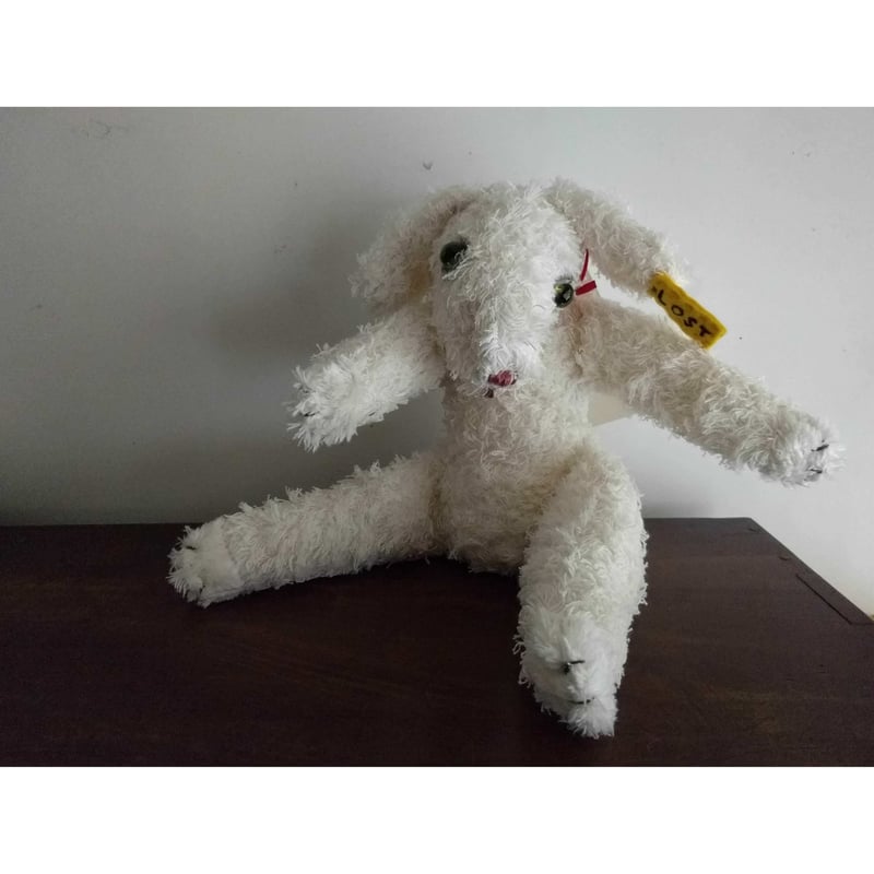 ookamigocco：LOST (犬) | nowaki 