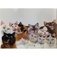 町田尚子：クリアファイル「ねことねこ」