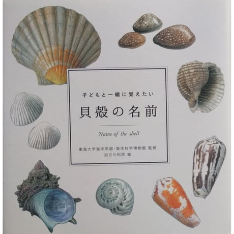 『貝殻の名前』・『野鳥の名前』