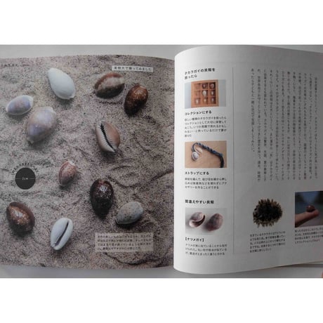 『貝殻の名前』・『野鳥の名前』